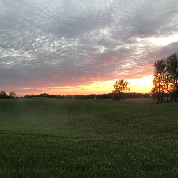 Meet your Posher, Holly - Picture 1 of 1